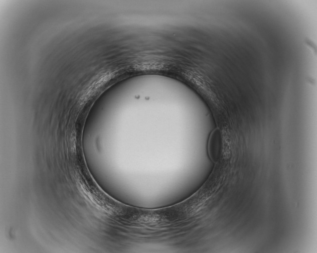 X0000100380631200806201651