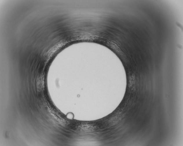 X0000100380632200806201651