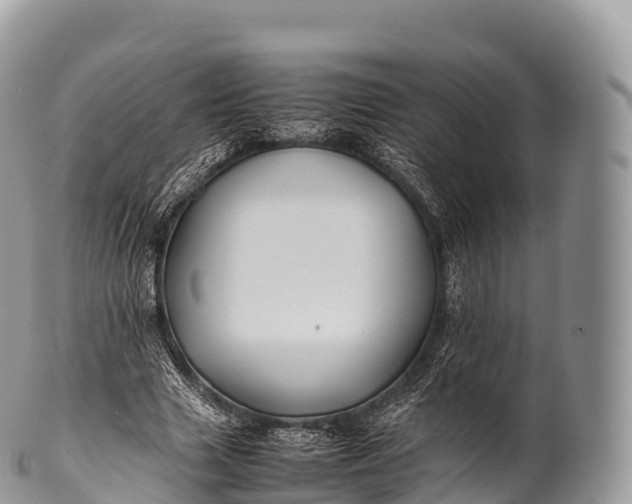 X0000100380633200806201651