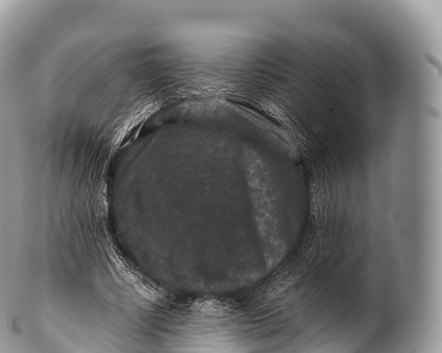 X0000100380634200806201651