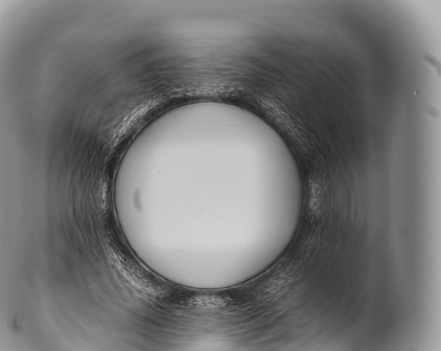 X0000100380636200806201651