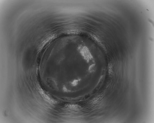 X0000100380637200806201651