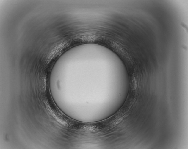 X0000100380638200806201651
