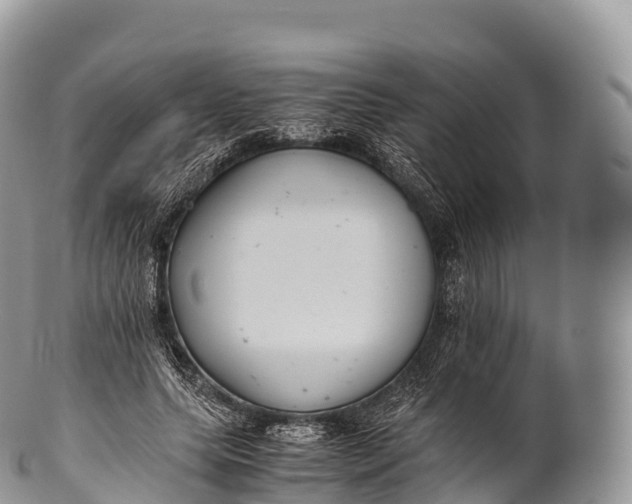X0000100380639200806201651