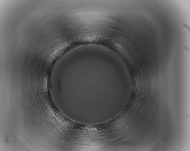 X0000100380640200806201651