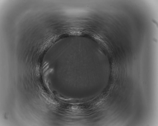 X0000100380641200806201651
