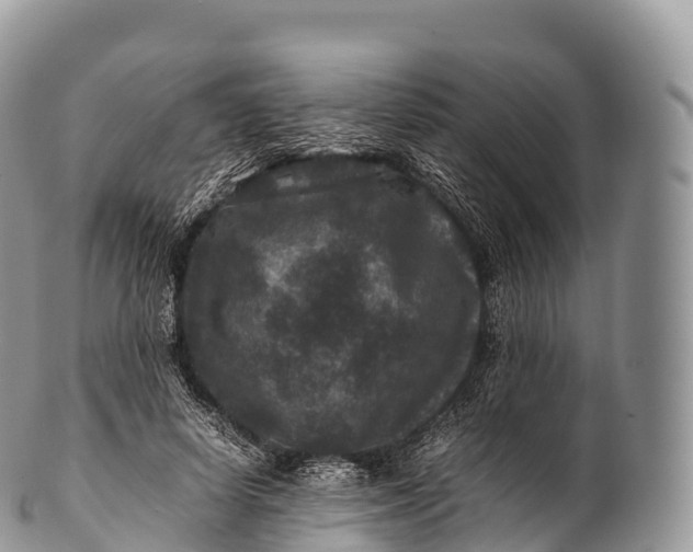 X0000100380642200806201651