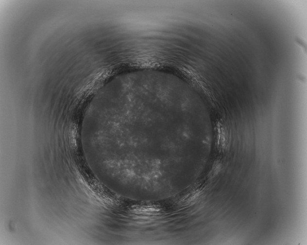 X0000100380643200806201651