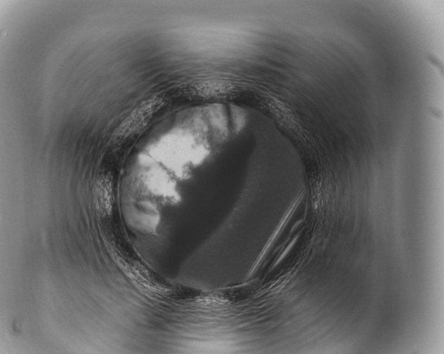 X0000100380644200806201651