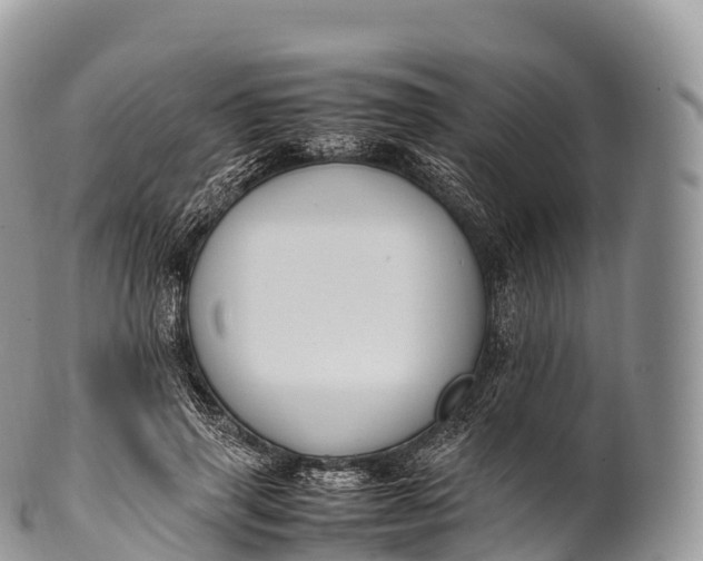X0000100380645200806201651