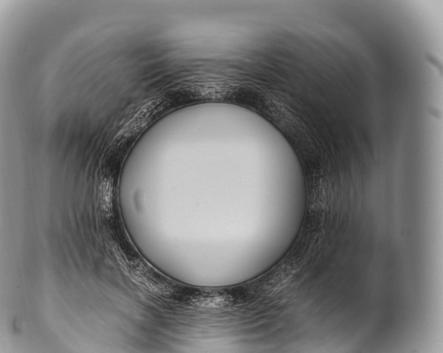 X0000100380646200806201651