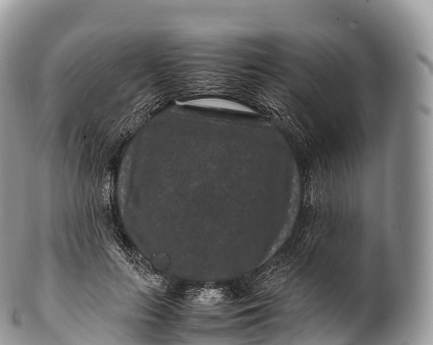 X0000100380647200806201651