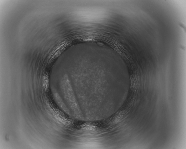 X0000100380648200806201651