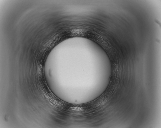 X0000100380649200806201651