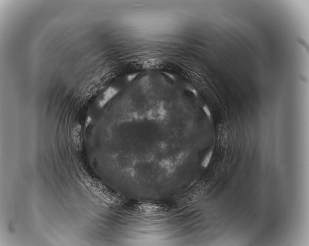 X0000100380650200806201651