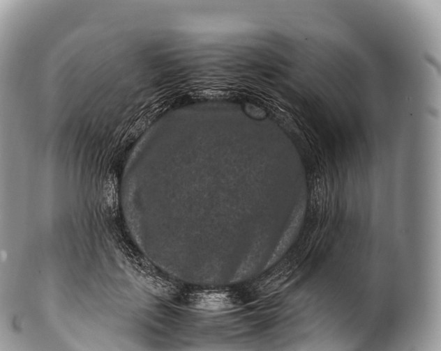 X0000100380651200806201651