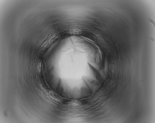X0000100380652200806201651
