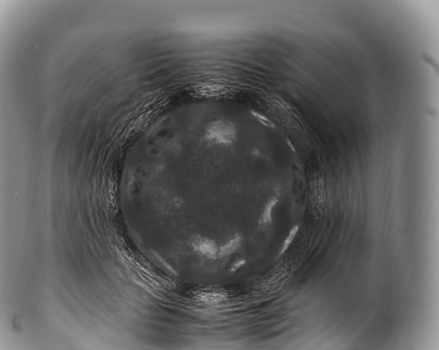 X0000100380653200806201651
