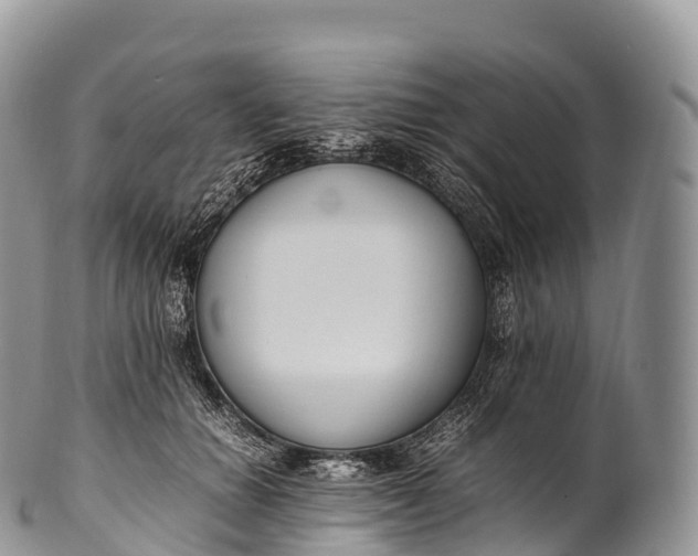 X0000100380654200806201651