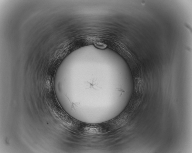 X0000100380655200806201651