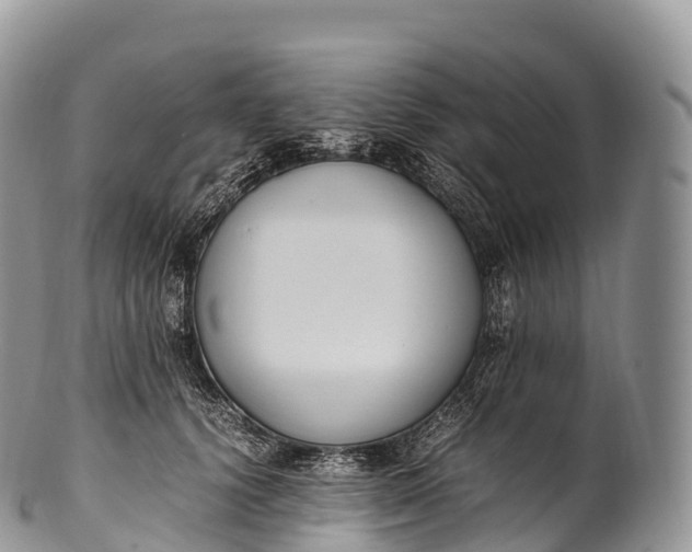 X0000100380656200806201651