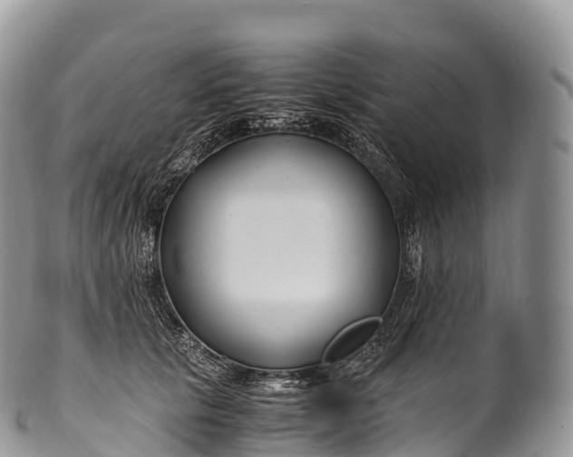X0000100380657200806201651