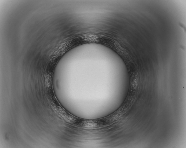 X0000100380658200806201651