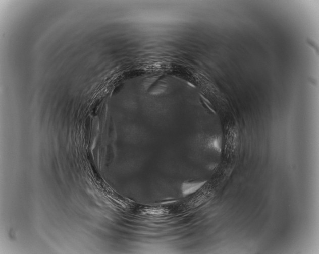 X0000100380659200806201651