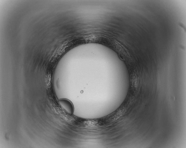 X0000100380660200806201651