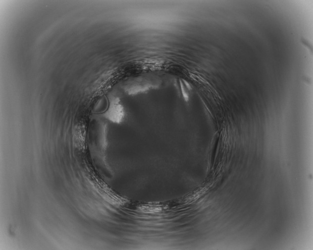 X0000100380661200806201651