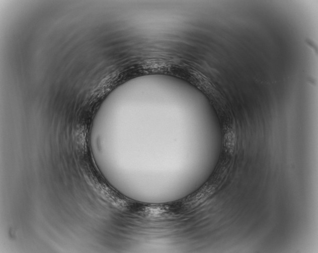 X0000100380662200806201651