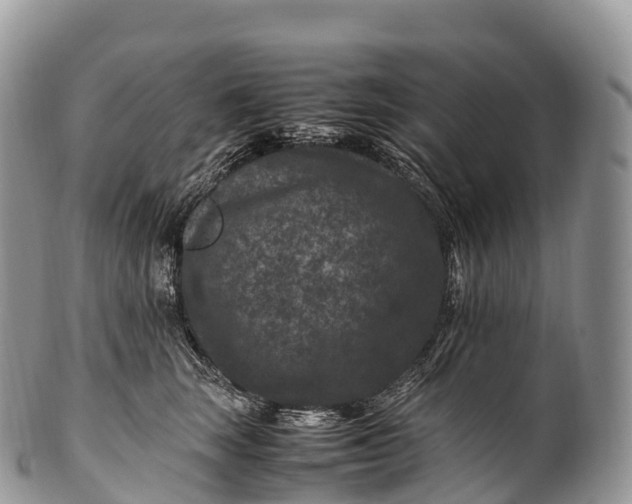 X0000100380663200806201651