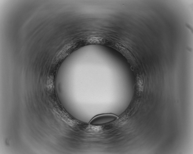 X0000100380665200806201651