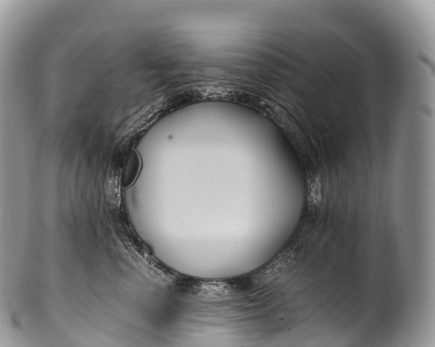 X0000100380666200806201651
