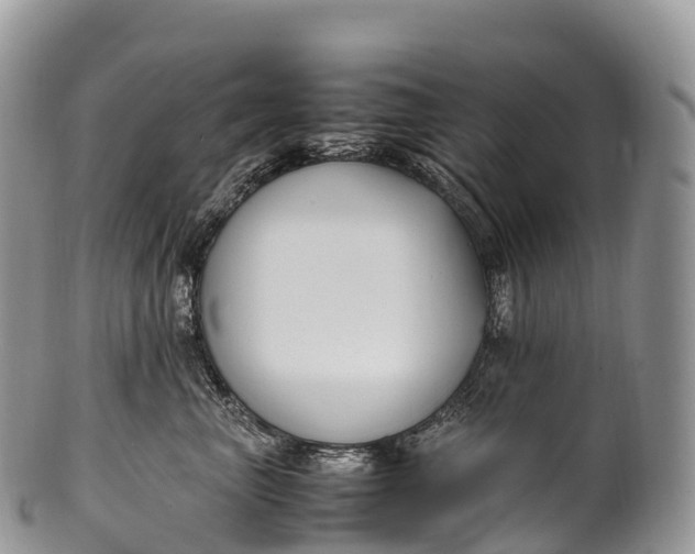 X0000100380667200806201651