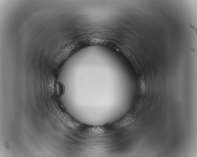X0000100380668200806201651