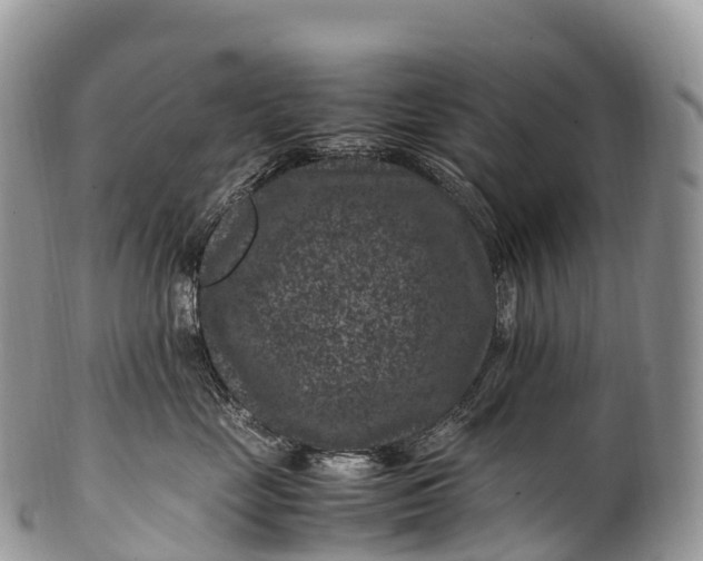 X0000100380669200806201651