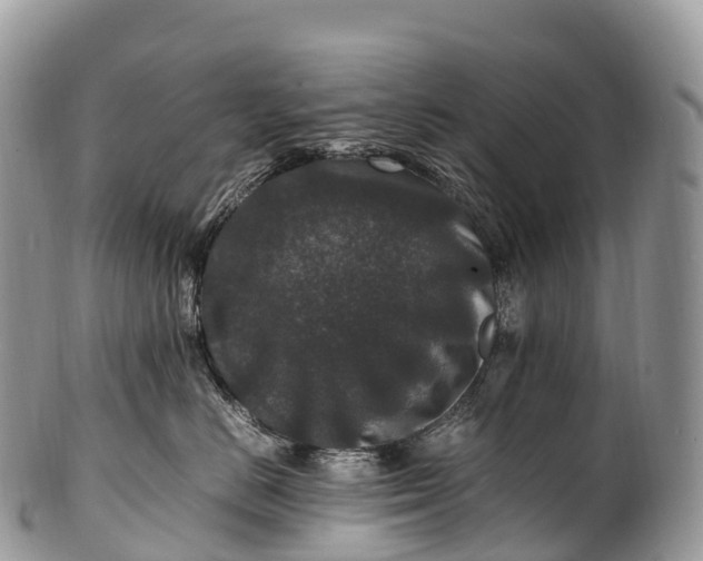 X0000100380670200806201651