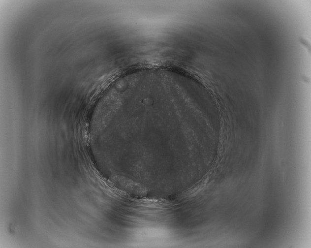 X0000100380672200806201651
