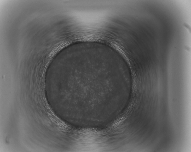 X0000100380673200806201651