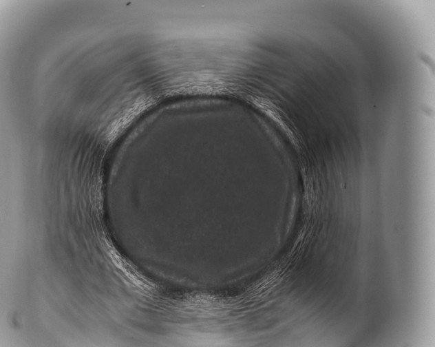 X0000100380677200806201651