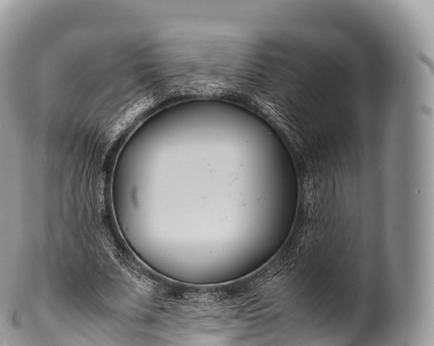 X0000100380679200806201651