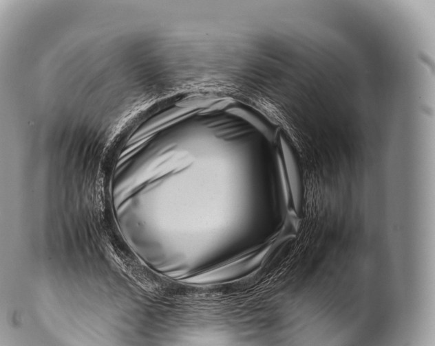X0000100380680200806201651