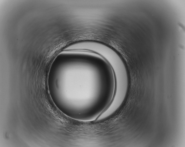 X0000100380681200806201651