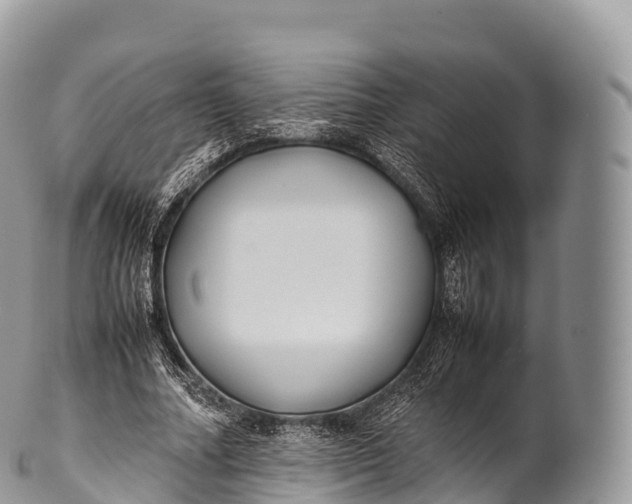 X0000100380682200806201651