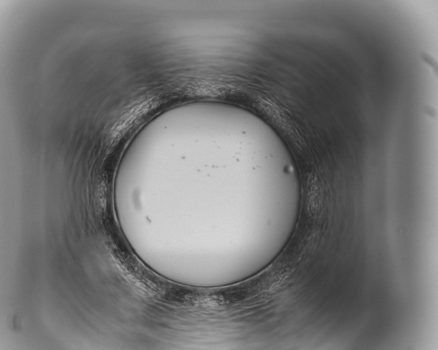 X0000100380683200806201651