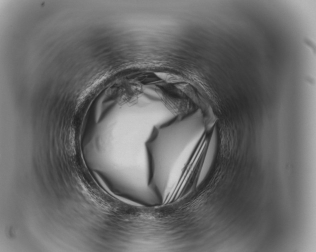 X0000100380684200806201651