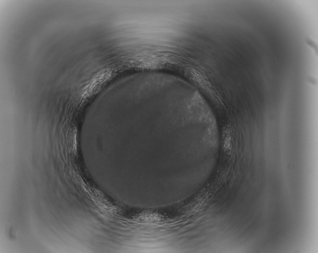 X0000100380685200806201651