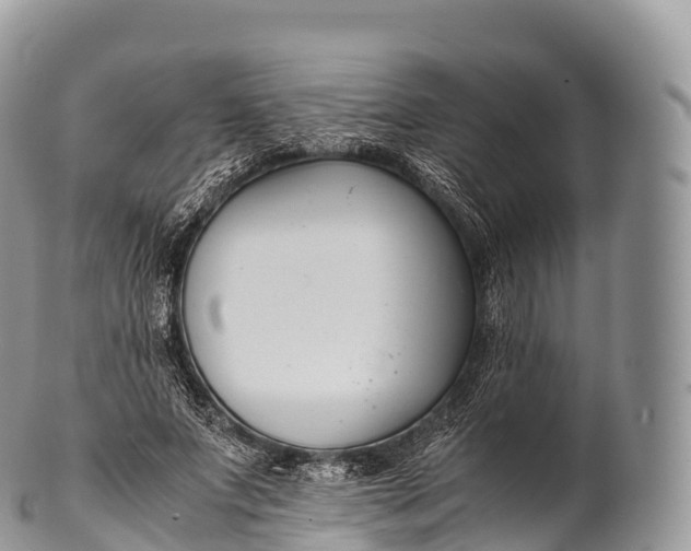 X0000100380687200806201651