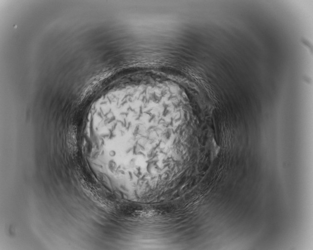 X0000100380688200806201651